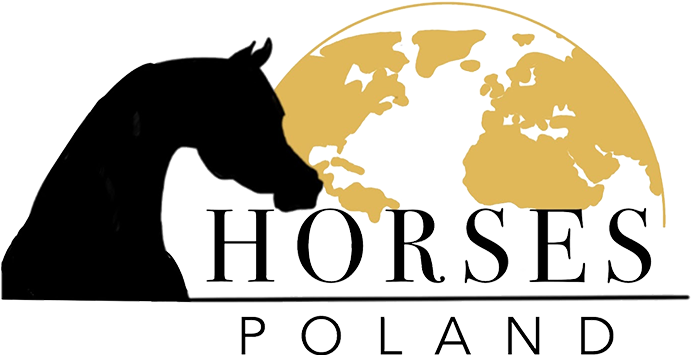 Horses Poland